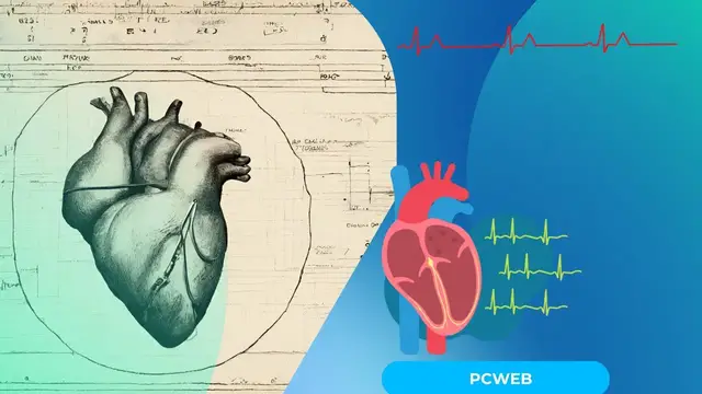 Video thumbnail for Bradicardia: ¿Qué es? Video blog