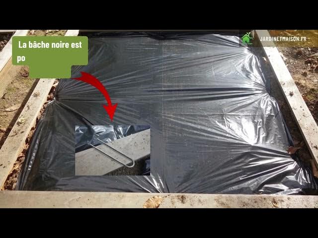 Video thumbnail for Comment planter des fraisiers dans un carré potager sur bâche noire
