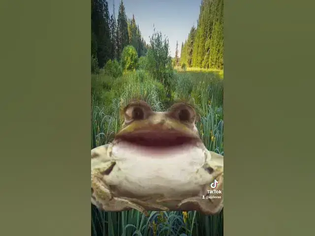 Video thumbnail for a frog talking in setswana. #shorts #frog #setswana