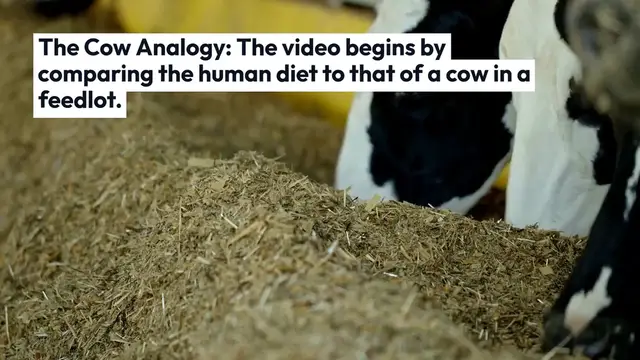 Video thumbnail for Starch_Dangers_Explained