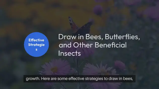 Video thumbnail for How to Attract Pollinators to Your Outdoor Garden