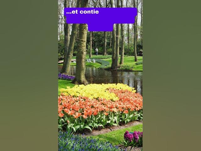 Video thumbnail for Bienvenue au jardin de Keukenhof