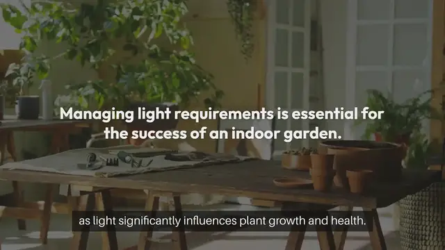 Video thumbnail for How to Manage Indoor Garden Light Requirements