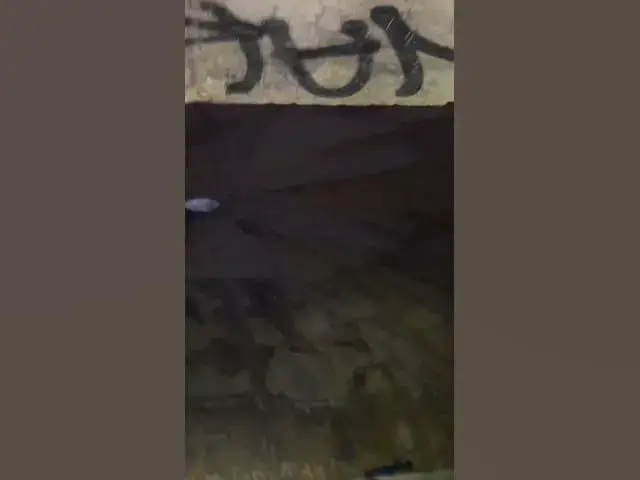 Video thumbnail for Mothman 2nd bunker