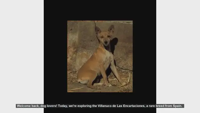 Video thumbnail for Top 10 Fascinating Facts About the Villanuco de Las Encartaciones