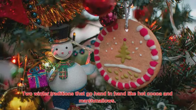 Video thumbnail for What Are The Best Ways To Celebrate Christmas With Ice Skating Events?