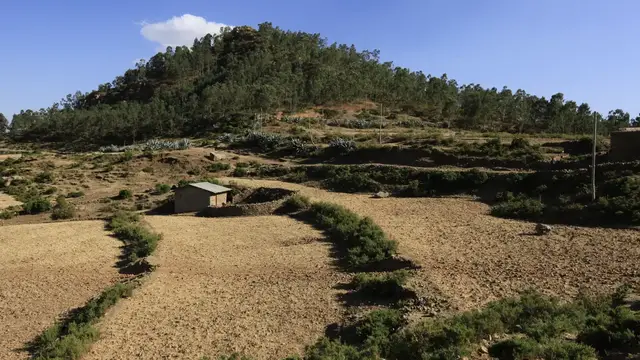 Video thumbnail for Grab König Kaleb und Gebre Maskal | Rundreise Äthiopien