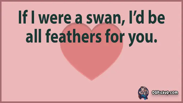 Video thumbnail for Swan - Pickup-Lines & Rizz for Him & for Her