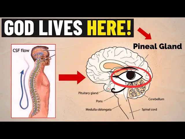 Video thumbnail for "This regenerates every cell in your body" | SACRED LIQUID
