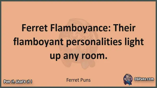 Video thumbnail for Ferret - Jokes, Puns, Wordplays, and Laughter