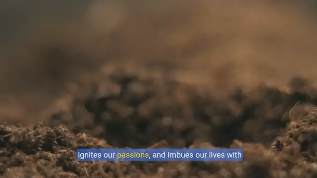 Video thumbnail for Finding Your Path: The Journey to Personal Purpose & Fulfillment