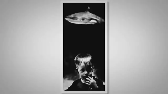 Video thumbnail for Which Beach in Florida is the Safest From Sharks?