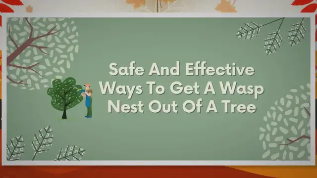 Video thumbnail for Wasp Nest Extraction: The Definitive Step-by-Step Guide