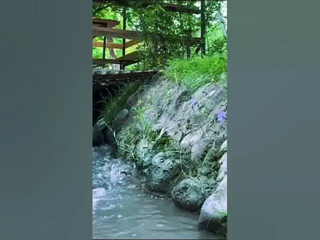 'Video thumbnail for Soothing Tea Sounds Relax Nature #shorts #nature'