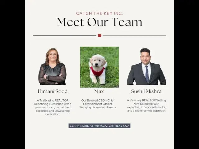 Video thumbnail for From Bittersweet Goodbyes to Joyous New Beginnings: MAX's Journey to a Happy Home | Catch The Key.