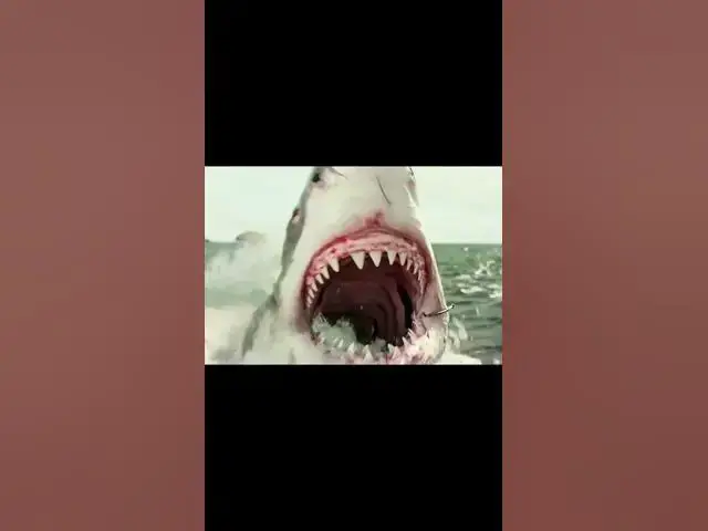 Video thumbnail for The Shallows Movie Clip Sharks #theshallows  #shark #sharkfilms #movieclip