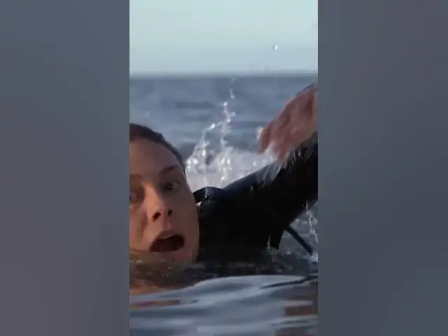 Video thumbnail for The Reef Movie. Sharks, Blood, Water. Watch After Swimming #thereef #sharkfilms #shark #sharks