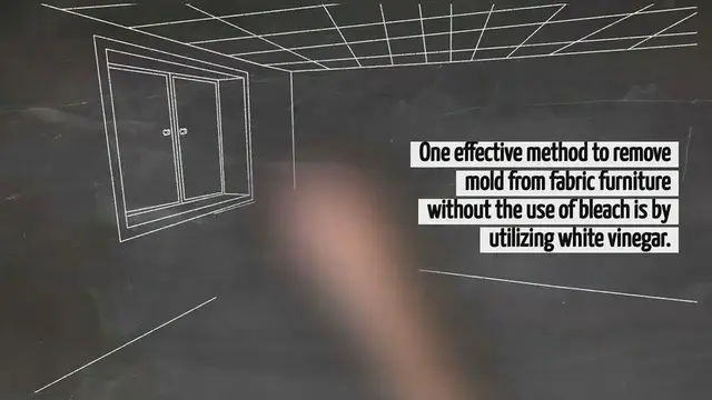 Video thumbnail for How To Remove Mold From Fabric Furniture Without Bleach