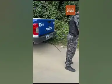 'Video thumbnail for Un ciervo axis suelto en Carlos Paz'