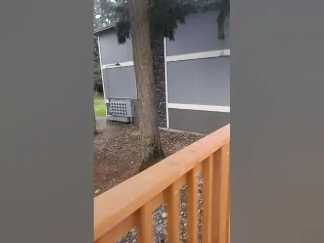 Video thumbnail for Crazy downstairs