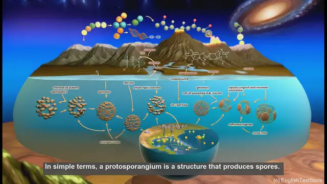 Video thumbnail for Protosporangium in biology