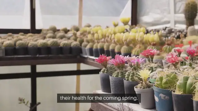 Video thumbnail for Tips For A Thriving Garden In Winter