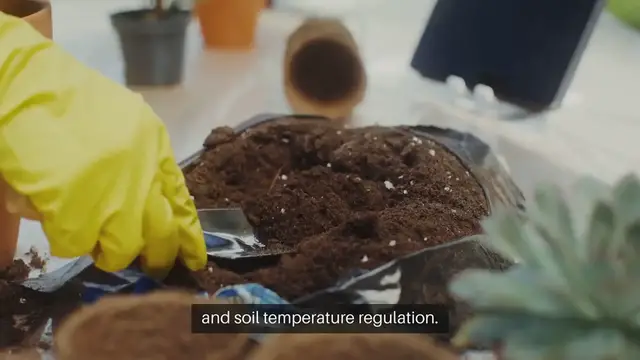 Video thumbnail for Best Tips For Garden Mulching