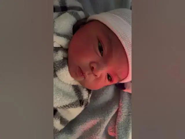 Video thumbnail for November 25, 2024