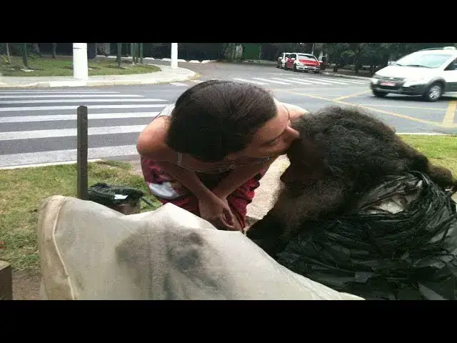 Video thumbnail for Woman Walks Past Homeless Man Everyday Before Realizing it was Her Brother