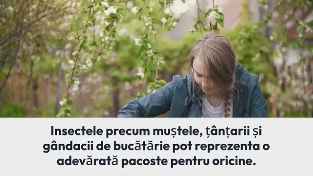 Video thumbnail for Misha, adevărul despre relația cu Connect-R. A spus-o fără ocolișuri: ”De câțiva ani chiar…”