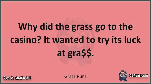 Video thumbnail for Grass - Jokes, Puns, Wordplays, and Laughter