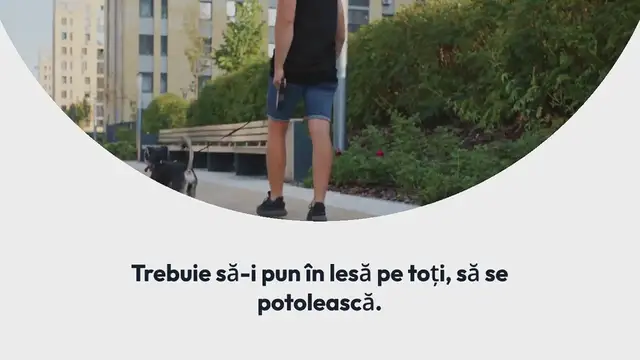 Video thumbnail for Zanni, atac dur pentru Iancu Sterp și cei care afirmă că nu trebuia să câștige Survivor: “N-au voie să latre. Trebuie să-i pun în lesă pe toți, să se potolească. Eu sunt hingherul lor…”