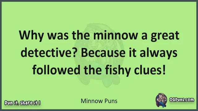 Video thumbnail for Minnow - Jokes, Puns, Wordplays, and Laughter