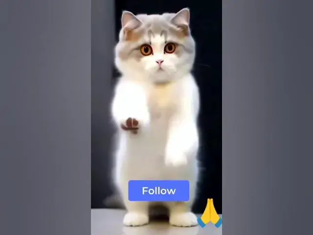 Video thumbnail for जीजा तू काला मै गोरी घनी 😂😂😂😂#happy_lokgeet #viral #dance #शोर्ट्सवीडियो