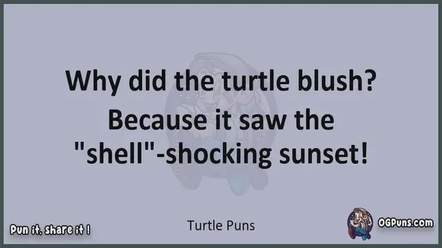 Video thumbnail for Turtle - Jokes, Puns, Wordplays, and Laughter