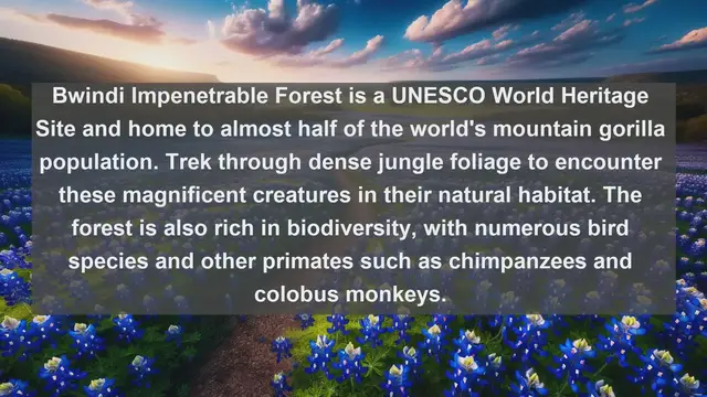 Video thumbnail for Explore Uganda's Stunning Landscapes: Top 10 Must-Visit Destinations!