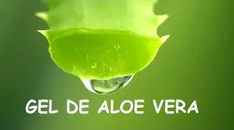 'Video thumbnail for ✔️ Cómo limpiar el gel de aloe vera 🌱 o sábila correctamente'