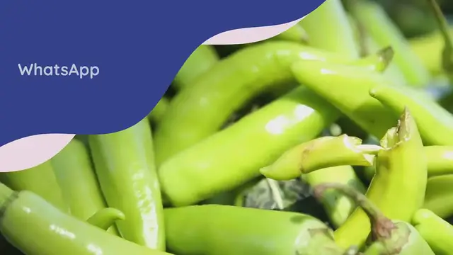 Video thumbnail for Mango Sambal: pittig, fris met een vleugje zoet