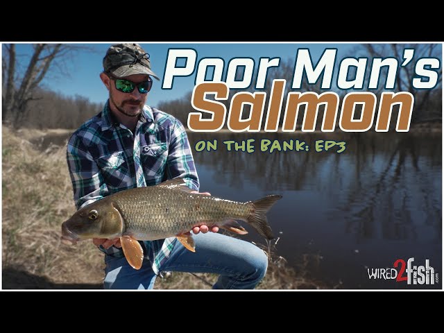 Video thumbnail for On The Bank - EP3: Shore Fishing Rivers in Spring