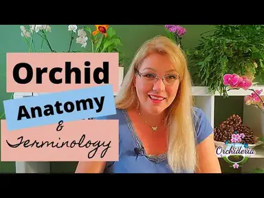 'Video thumbnail for Orchid Anatomy & Terminology - Free PDF Glossary Included for Download!'