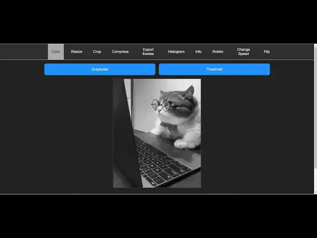 Video thumbnail for Build a FFMPEG GIF Animated Video & Image Editor in Browser Using gifsicle Library in Javascript