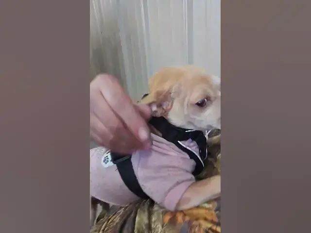 Video thumbnail for March 12, 2025