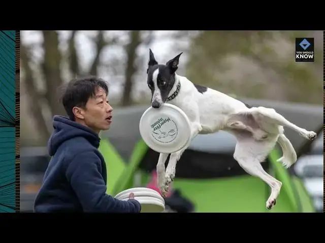 Video thumbnail for Top 10 Fun Facts About Inventions