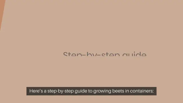 Video thumbnail for How To Grow Beets In Containers