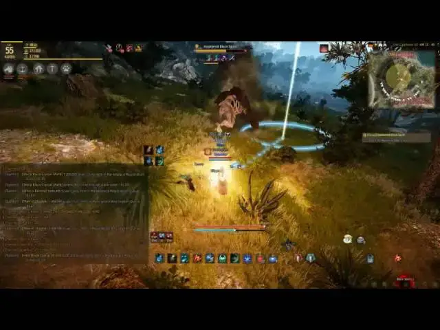 Video thumbnail for Killing the Black Spirit & Before and After Black Desert Online
