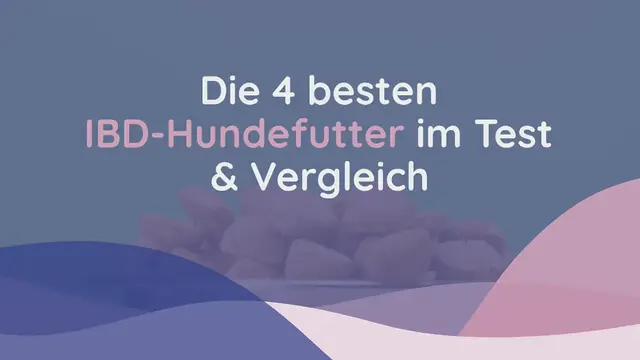 Video thumbnail for Die 4 besten IBD-Hundefutter im Test & Vergleich (2024)