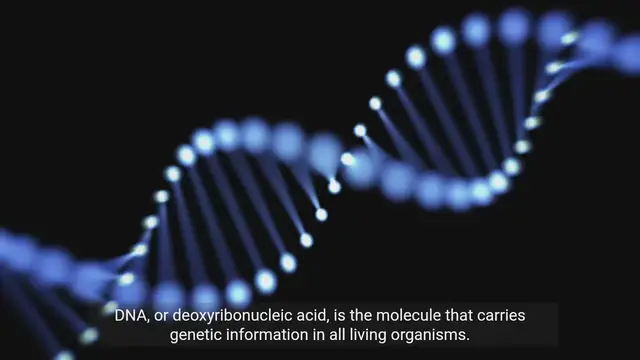 Video thumbnail for Exploring Genes and DNA - Facts You Need to Know