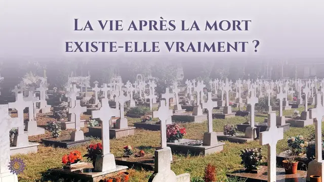 Video thumbnail for ☯ LA VIE APRÈS LA MORT EXISTE-T-ELLE VRAIMENT ?