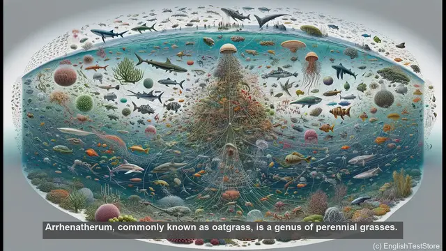 Video thumbnail for Arrhenatherum in biology