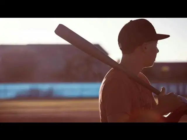 Video thumbnail for rochester honkers